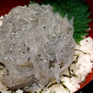 しらす丼屋 桔梗_1