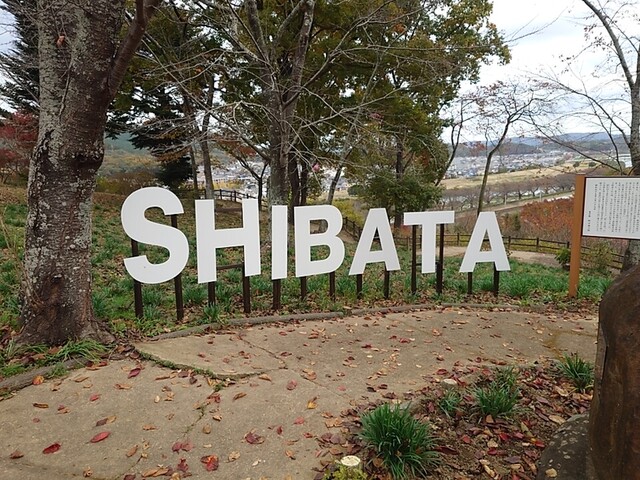 ニューデイズ船岡（NewDays） - 船岡（コンビニ・スーパー）の写真