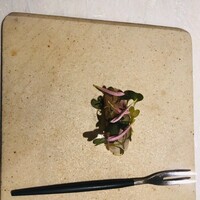 ル スプートニク - 