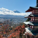 山崎家うどん - 