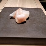 島津 - マツカワカレイ