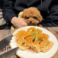 ピッツェリア&トラットリア ゴンゾ 目黒店 - 