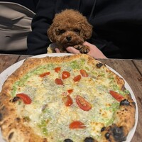 ピッツェリア&トラットリア ゴンゾ 目黒店 - 