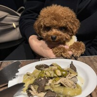 ピッツェリア&トラットリア ゴンゾ 目黒店 - 