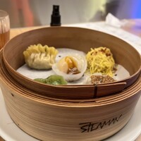 STEAMAN - 