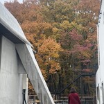 haluta bageri Oiwake - 