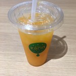 Karin Ionmorusuzukaten