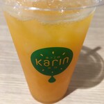 Karin Ionmorusuzukaten