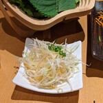 サムギョプサル nicoya - 