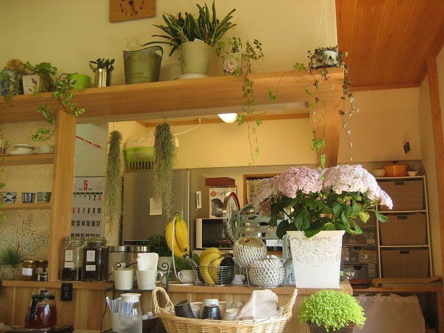 Sora Fukushima City Iizaka Onsen Cafe Tabelog Sora Fukushima City Iizaka Onsen Cafe Tabelog