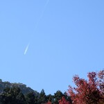 道の駅 果樹公園あしがくぼ - 