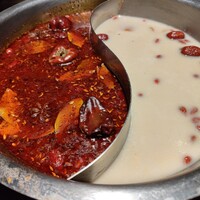 雪梅花 菜根譚 - 