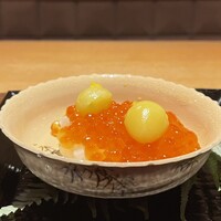弧玖 - 