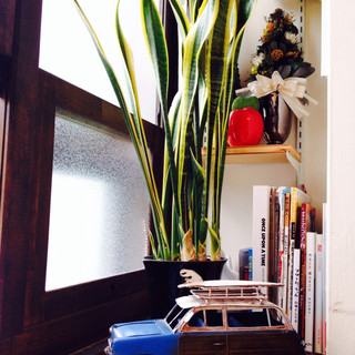 人形町 三日月座_2