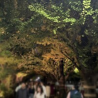 キハチ 青山本店 - 