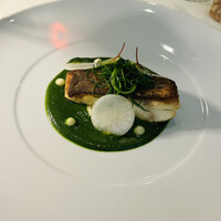 Loiseau de France - 