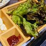 韓国料理 トヤジ - 生サムギョプサル