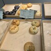 green RABBIT BAGELS