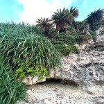 バンタカフェ by 星野リゾート - 