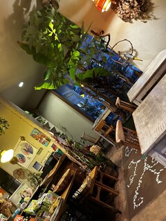 ナチュラル　カフェイーナ - 