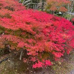 有馬グランドホテル - 