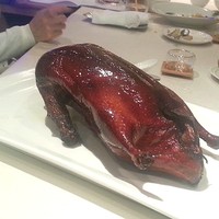 文菜華 - 