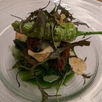 コウジイガラシ オゥレギューム - 