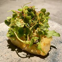 GapricE - 