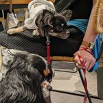 anea cafe hatchobori - 