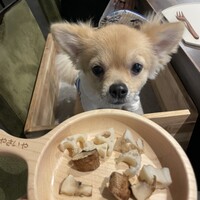 やさいや 鉄板焼野菜 赤坂店 - 