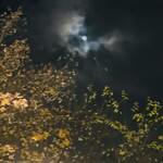 居酒屋たけ政 - 