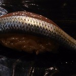 鮨 とかみ - 2014/5　小肌