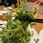 大衆酒場 北海 - 