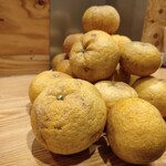 炭火焼きホルモン にく月 - 