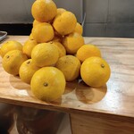 炭火焼きホルモン にく月 - 