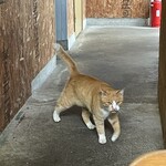 みるくのアトリエ - 