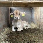 みるくのアトリエ - 