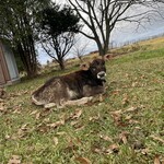 みるくのアトリエ - 