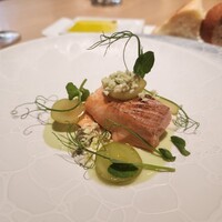SCALAE - 