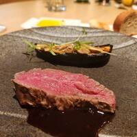 SCALAE - 