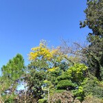 酒蔵レストラン 松風庵 - 