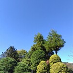 酒蔵レストラン 松風庵 - 