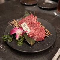 PONGA PREMIUM - 