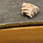 北陸の鮨 飛泉 - 迷いカツオのハラスの炙り　美味しいー