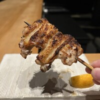 鳥カミ GARDEN CITY - カバー写真は、手羽先。