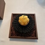 Installation Table ENSO L'asymetrie du calme - 柿