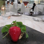 クイントカント - 飴でコーティングした苺、グリーンがカタバミ、底に大麦茶のムース、散っているのは黒糖