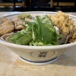 更科 - 冷やしたぬきそば(大)