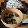 手打蕎麦 たなぼた庵