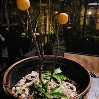 イノベーティブ フレンチ ワタハン - 